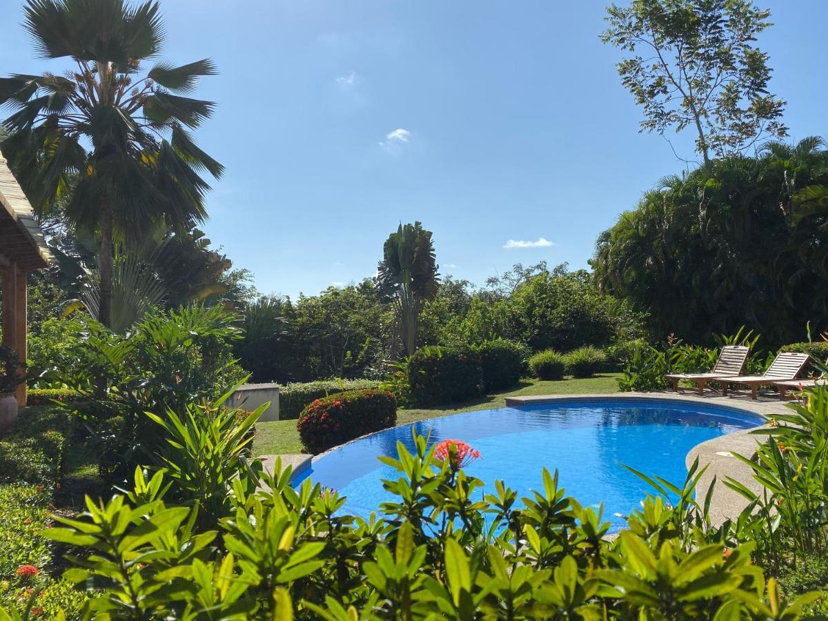 Palm Coast Luxury Rentals Esterillos Este Kültér fotó